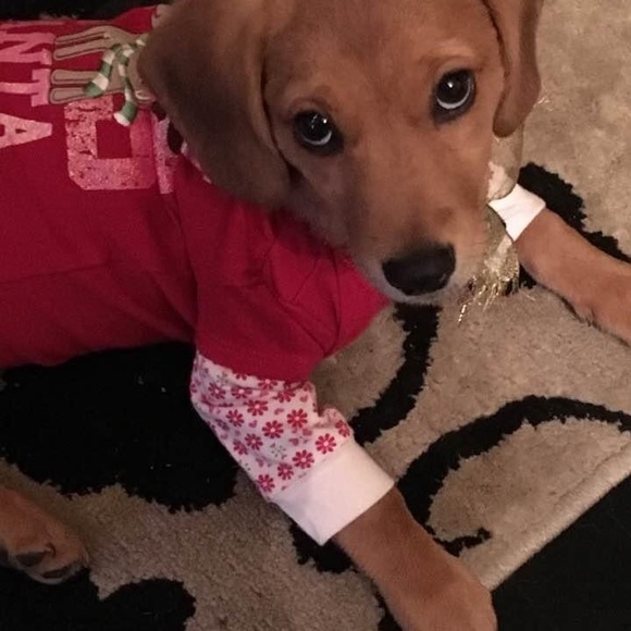 Meet your Posher, John - Picture 1 of 1